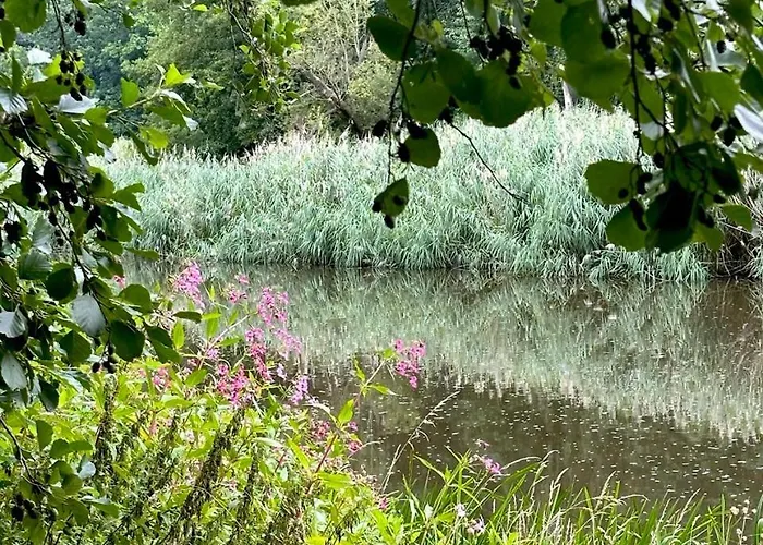 شقة Pension&wellness-oase-nossen